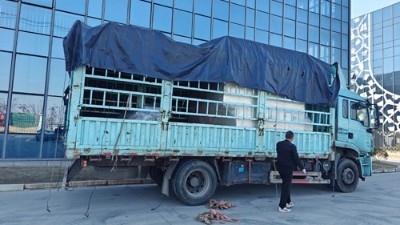 自動噴膠機再添新交付，助力大連汽車橡膠減震客戶升級